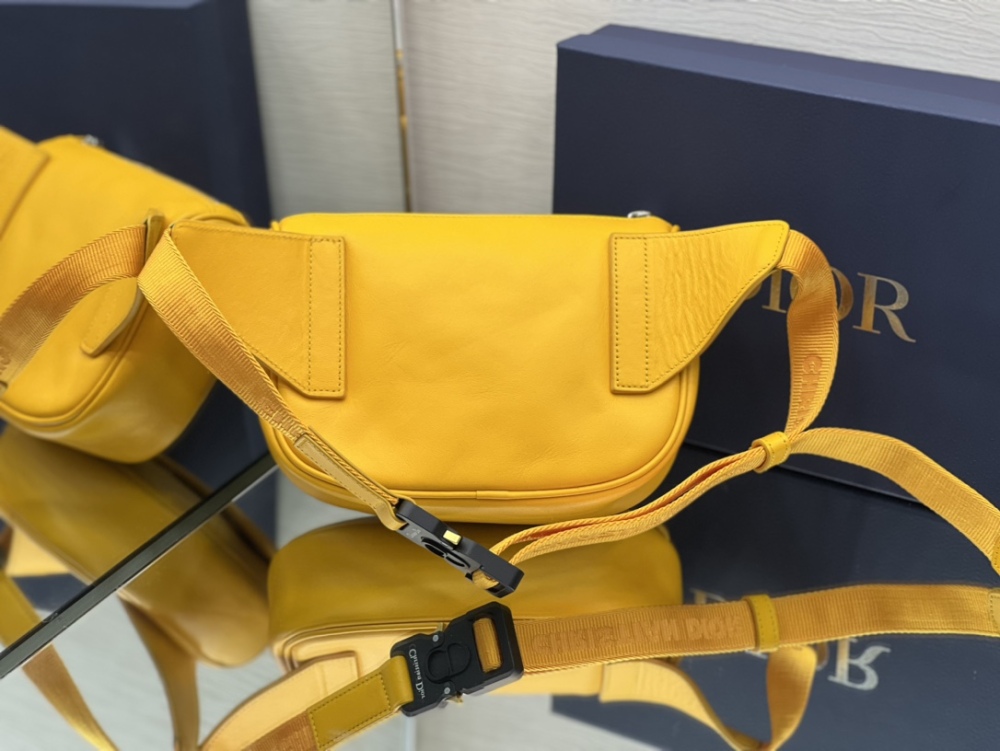 Dior manbag