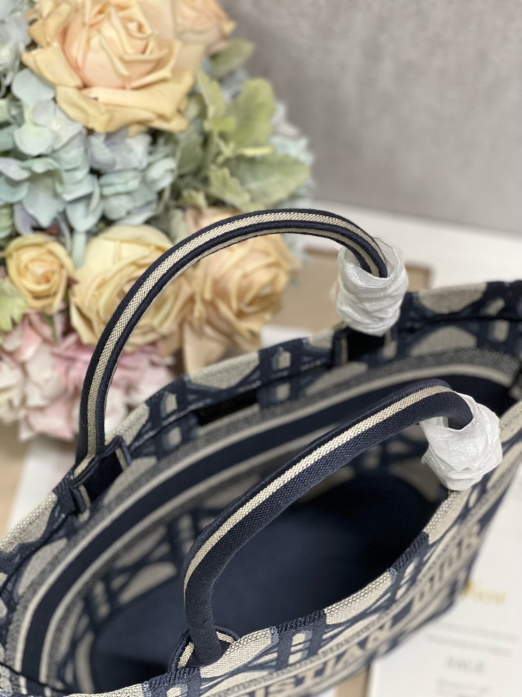 Dior bag Dior Maria Grazia Chiuri Christian Dior