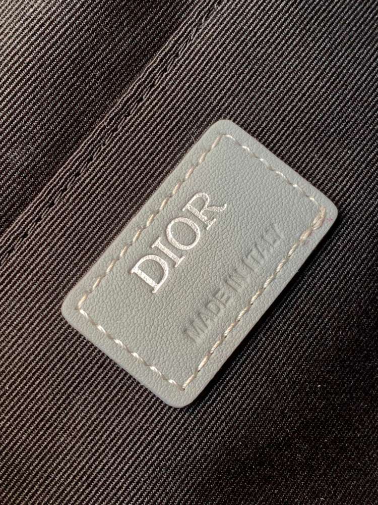 Dior manbag