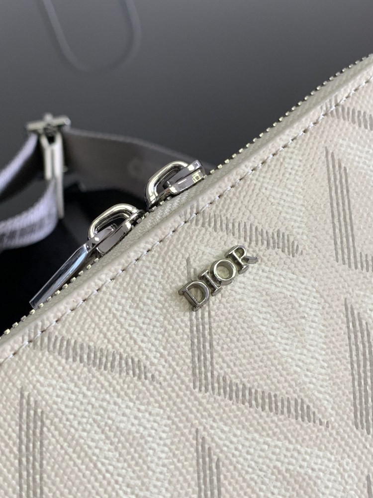 Dior manbag