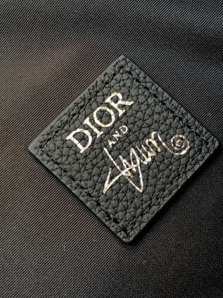 Dior manbag