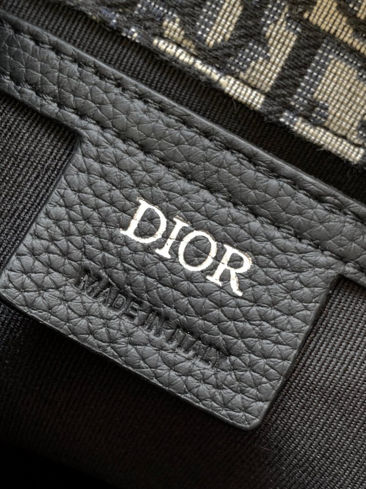 Dior manbag