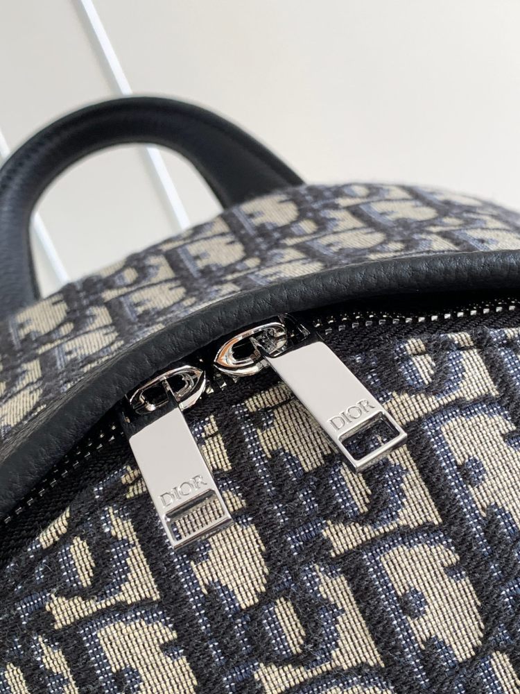 Dior manbag