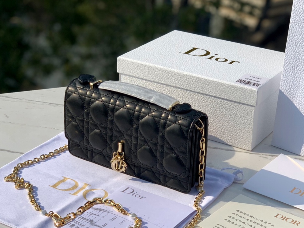 Dior bag Lady