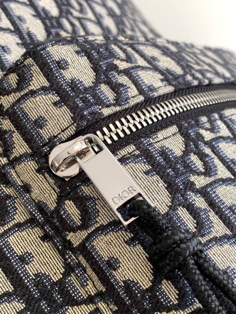 Dior manbag