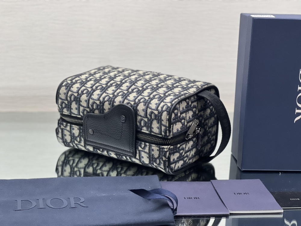 Dior manbag