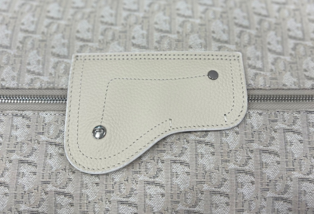 Dior manbag
