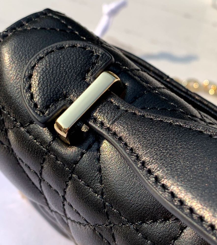 Dior bag Lady