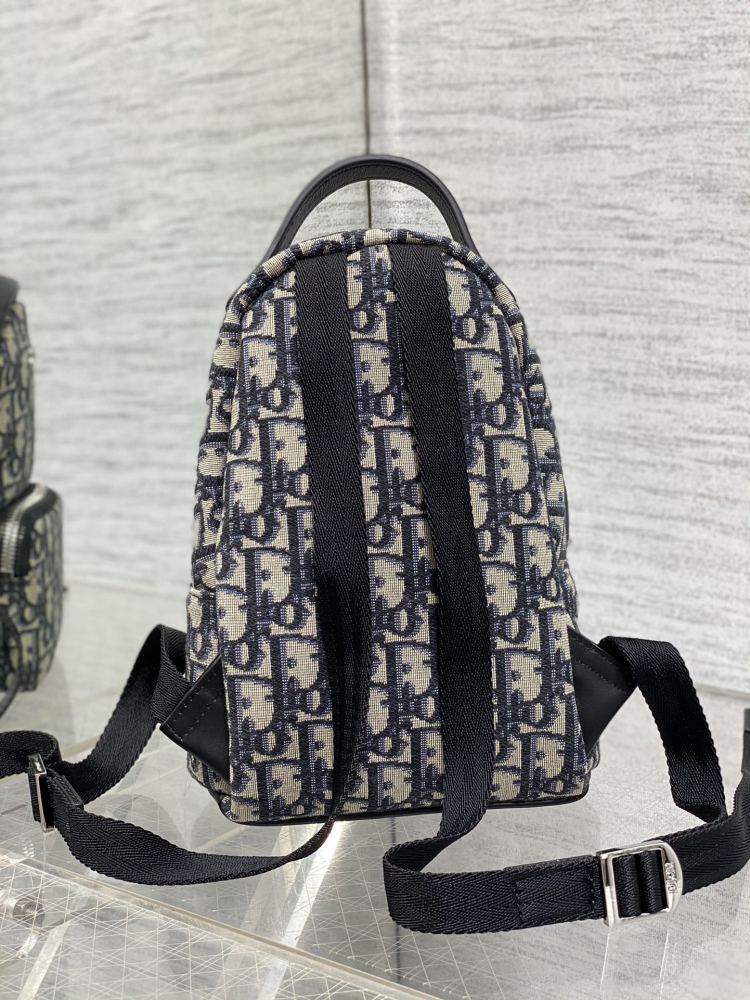 Dior manbag