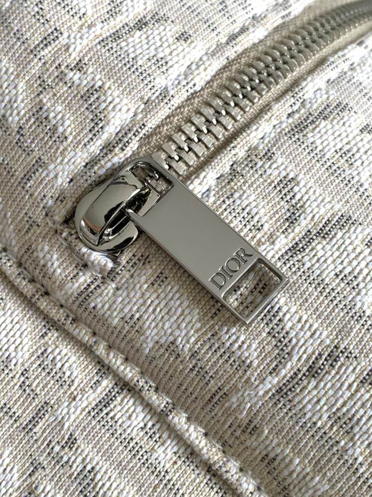 Dior manbag