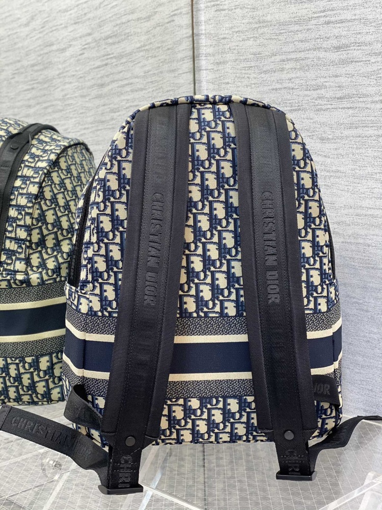 Dior manbag