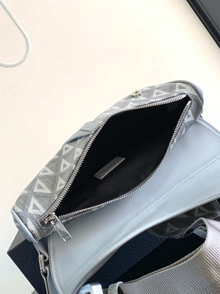 Dior manbag