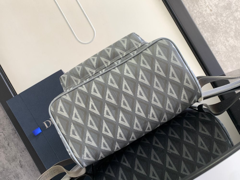 Dior manbag
