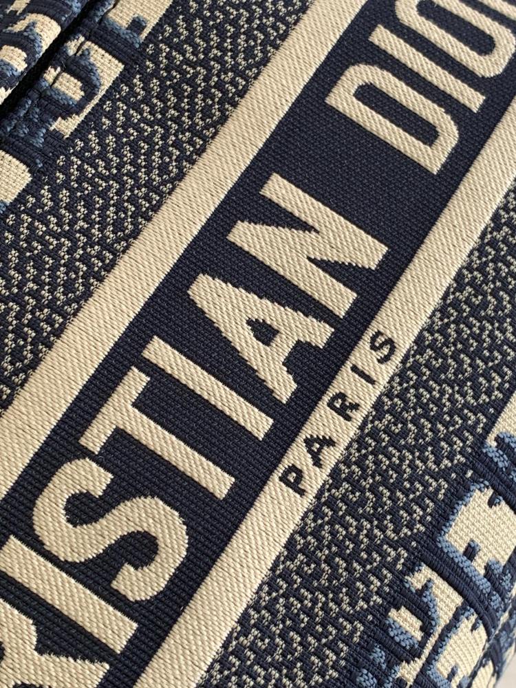Dior manbag