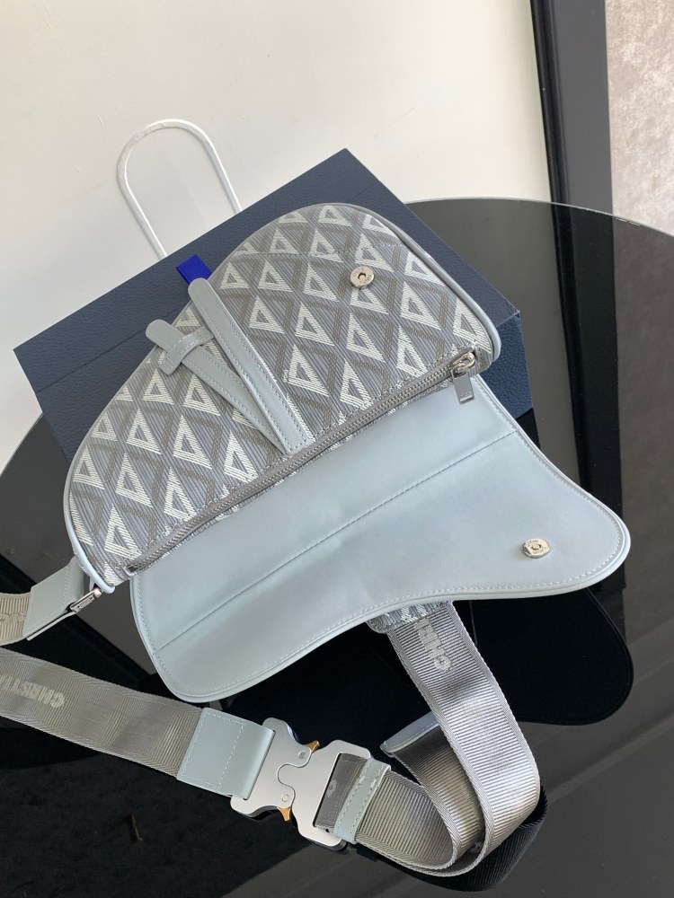 Dior manbag