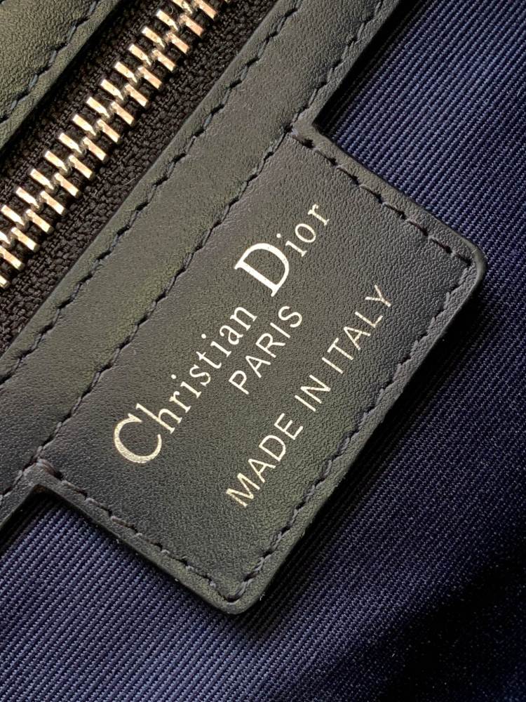 Dior manbag