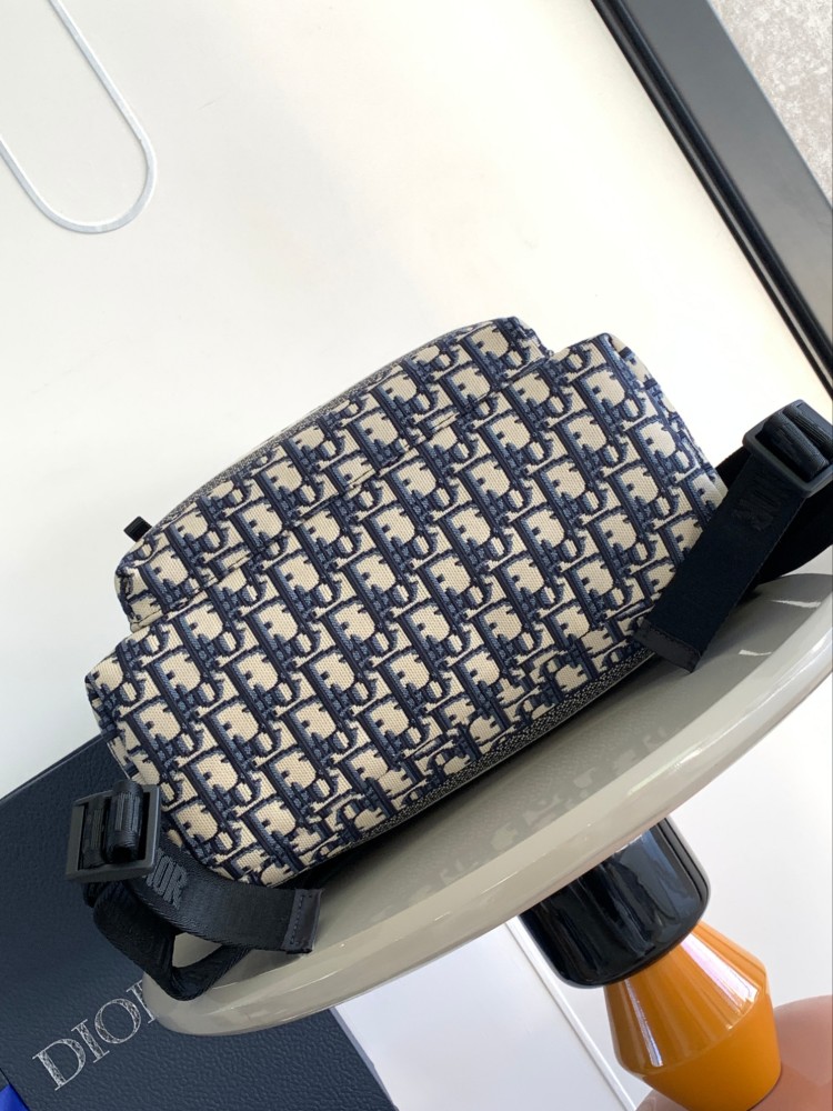 Dior manbag