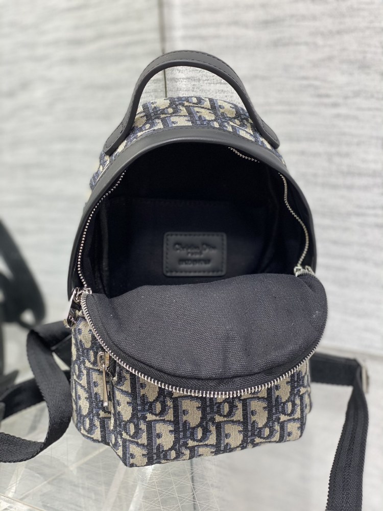 Dior manbag
