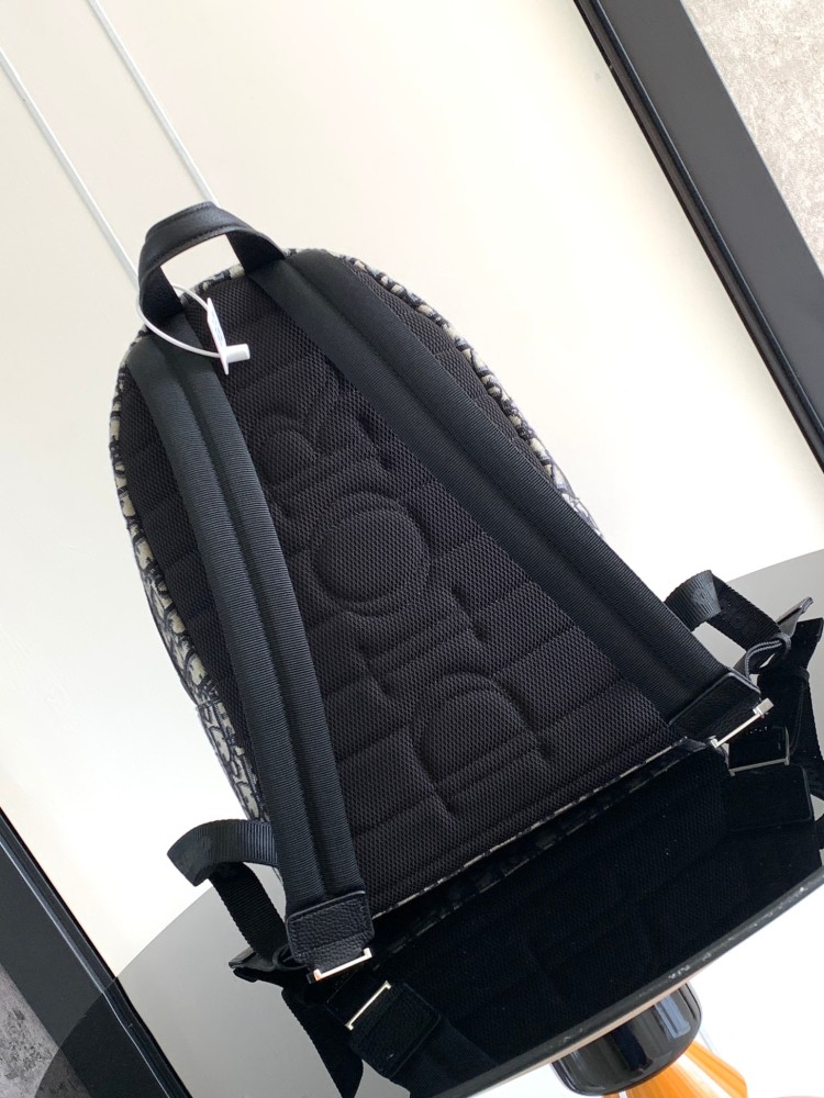 Dior man's Oblique backpacks