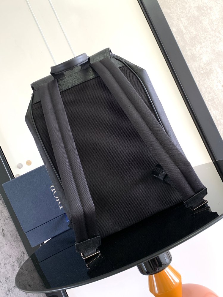Dior man's Oblique backpacks