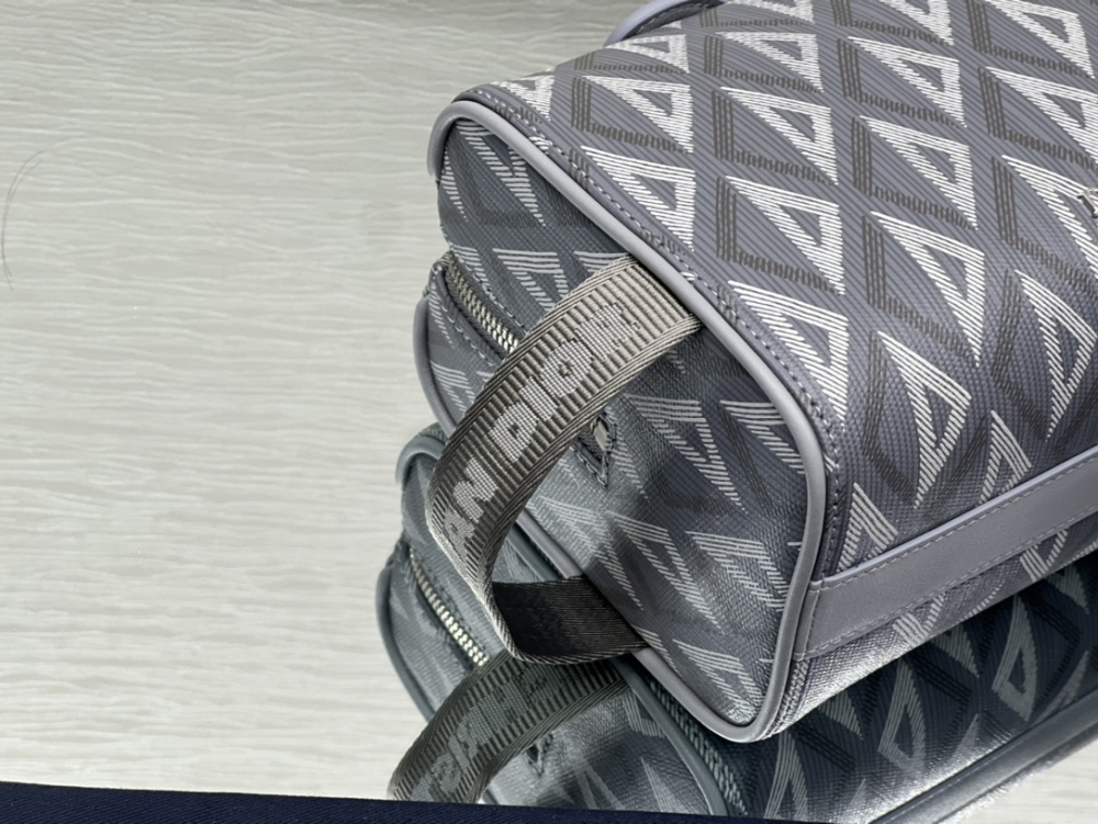 Dior manbag
