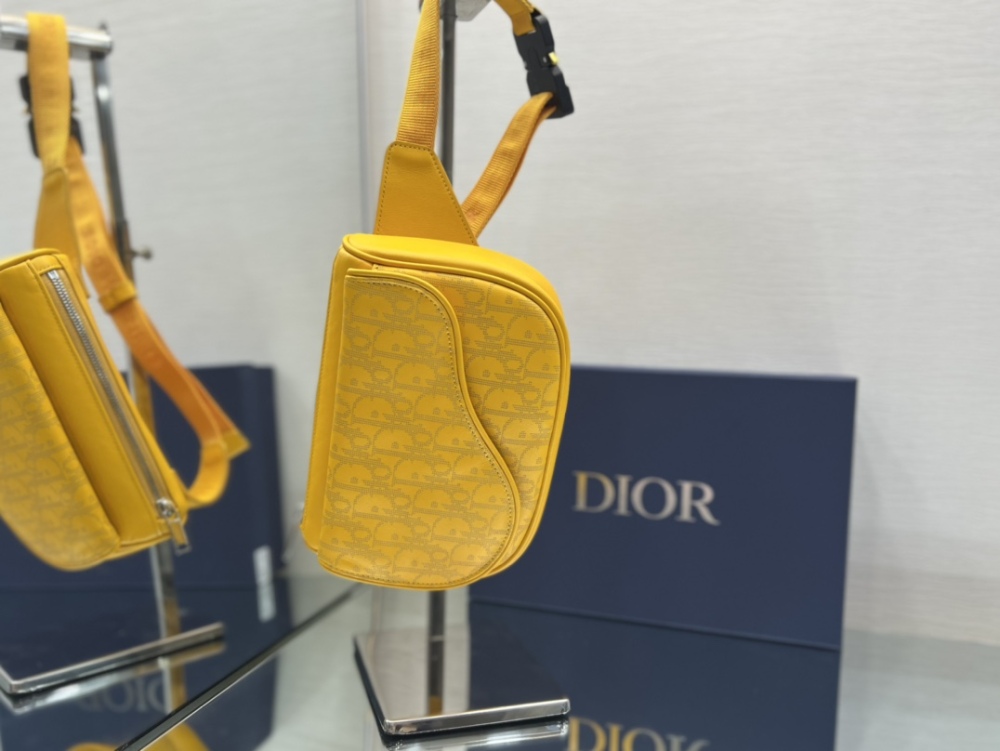 Dior manbag