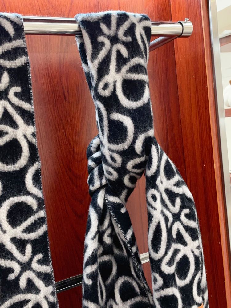 LOEWE Scarf