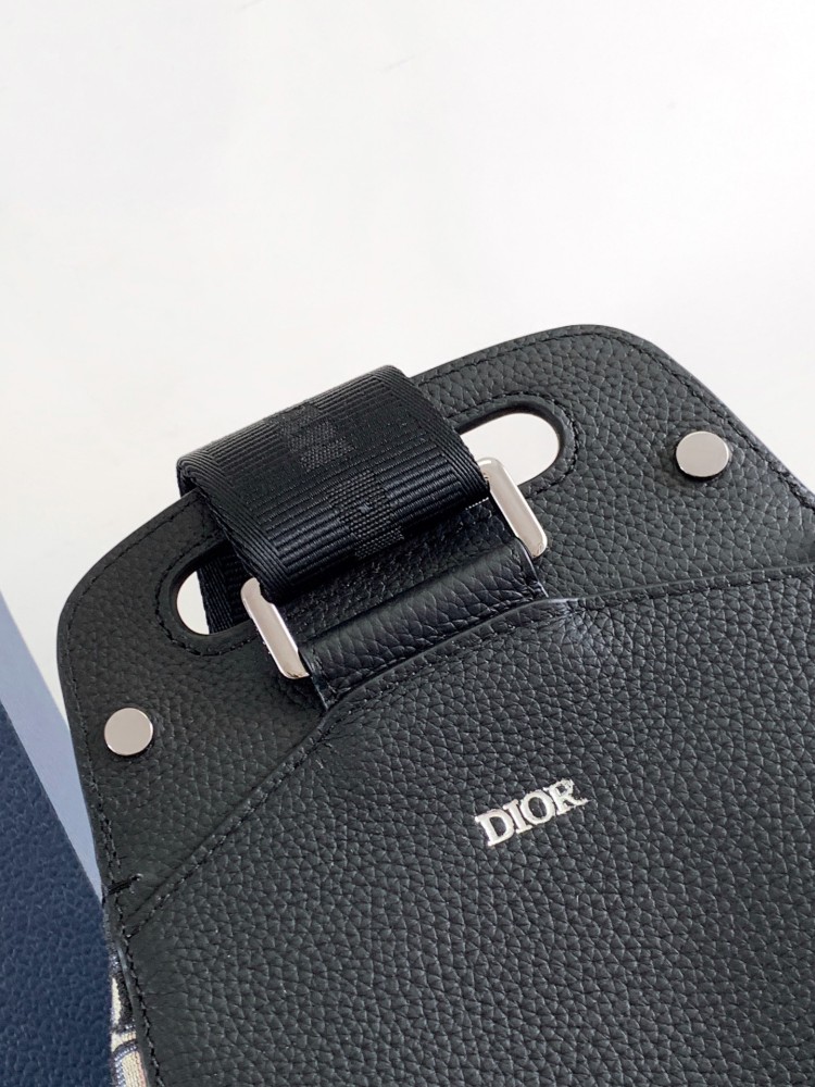 Dior manbag