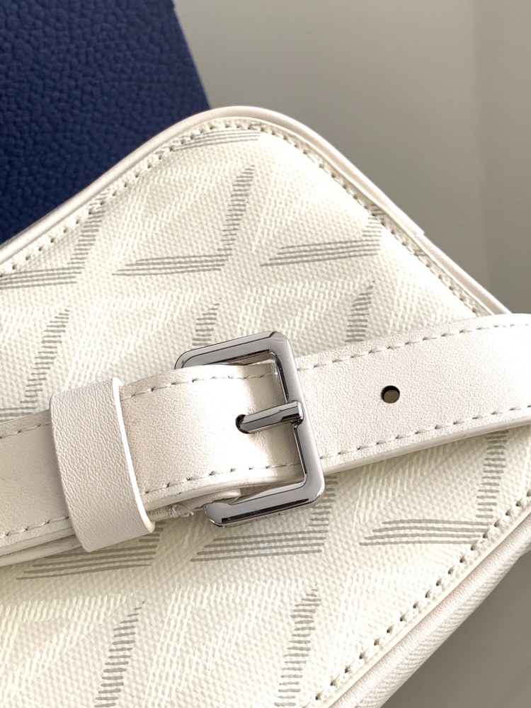 Dior manbag