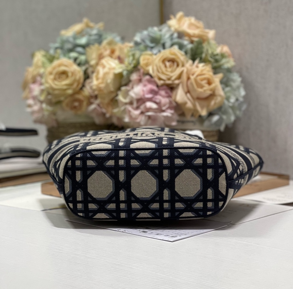 Dior bag Dior Maria Grazia Chiuri Christian Dior