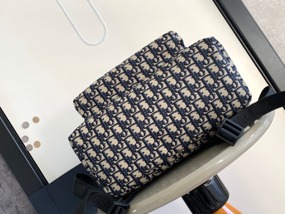 Dior manbag
