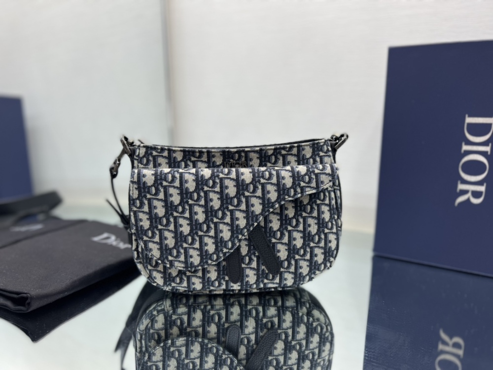 Dior manbag