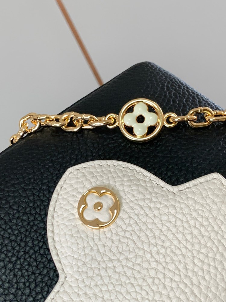 LV Capucines