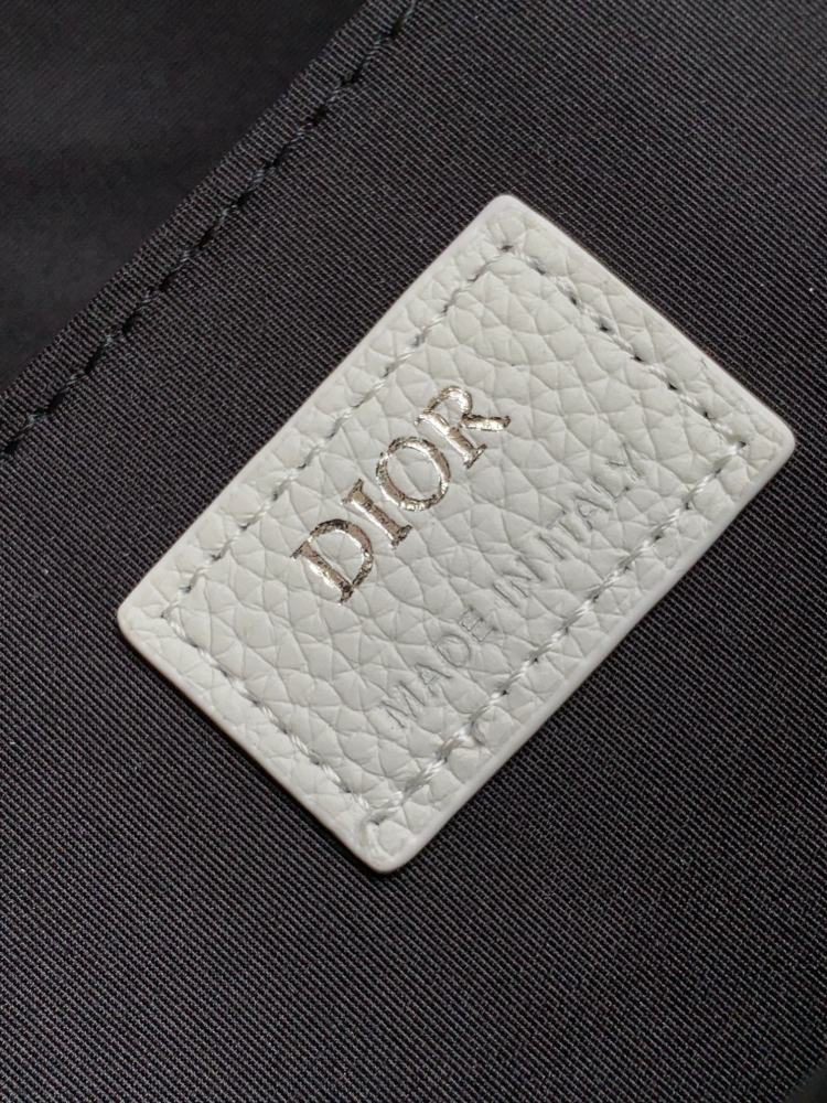 Dior manbag