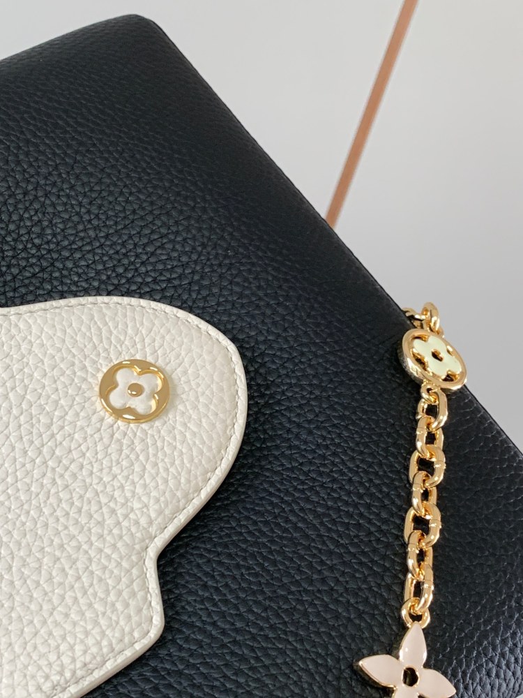 LV Capucines
