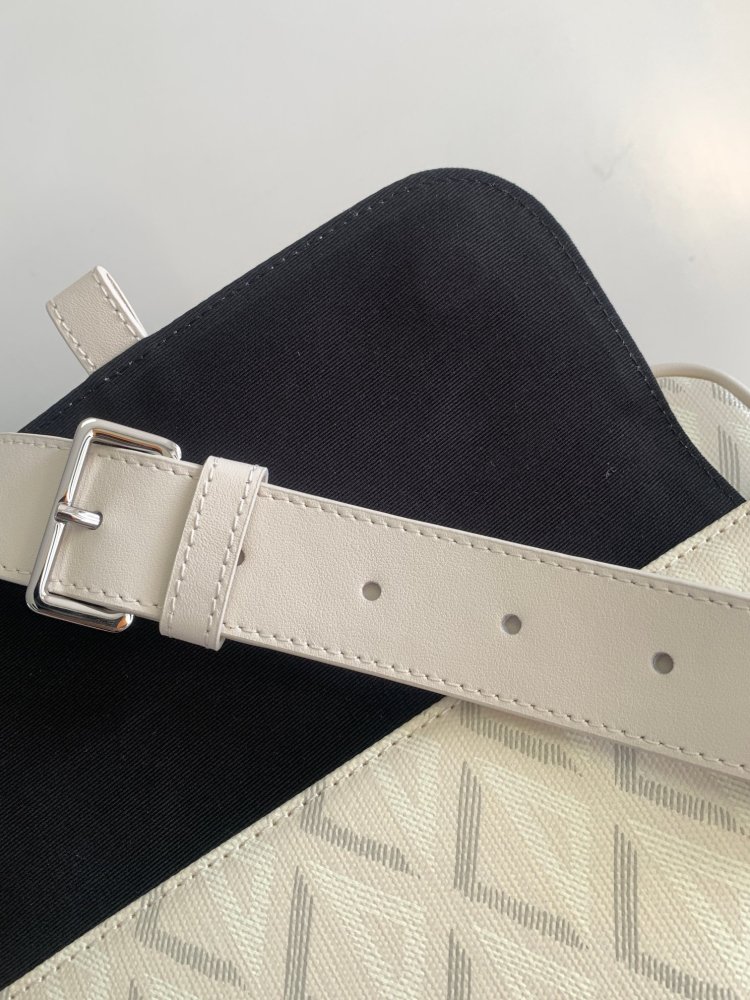Dior manbag