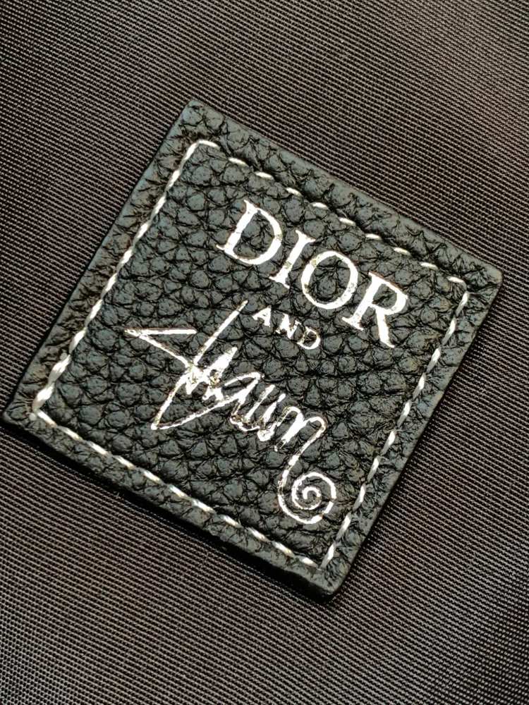 Dior manbag