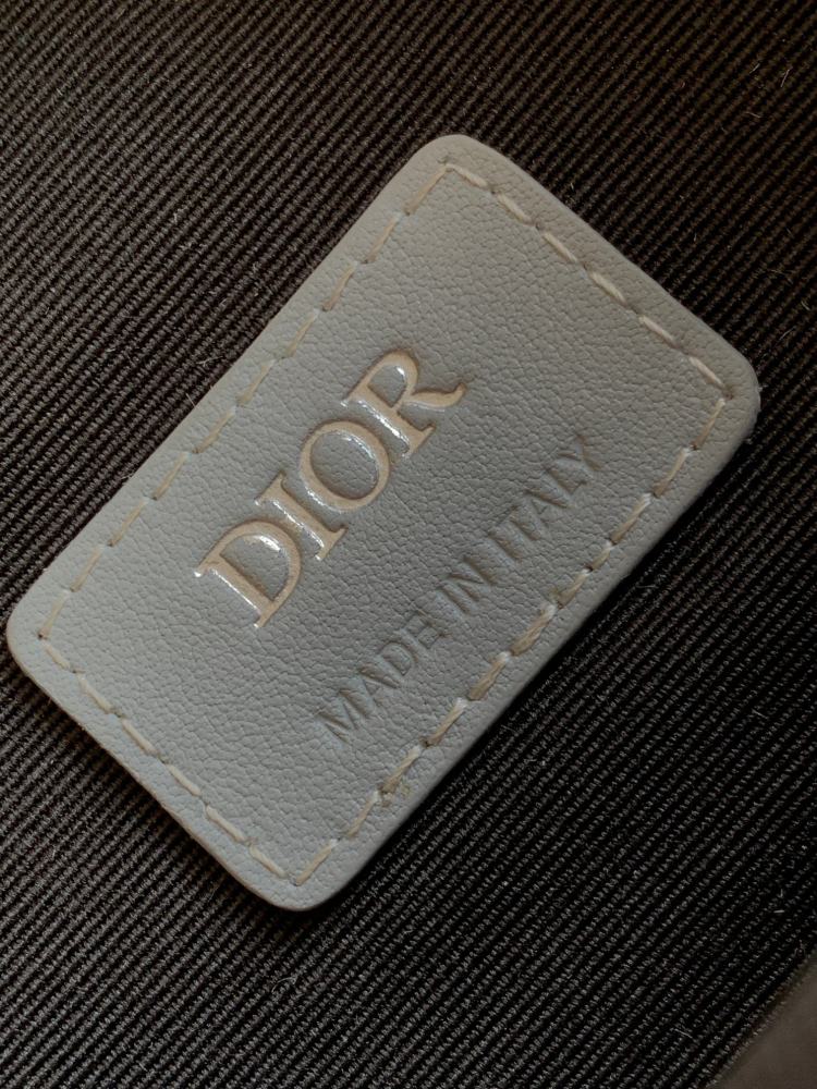 Dior manbag