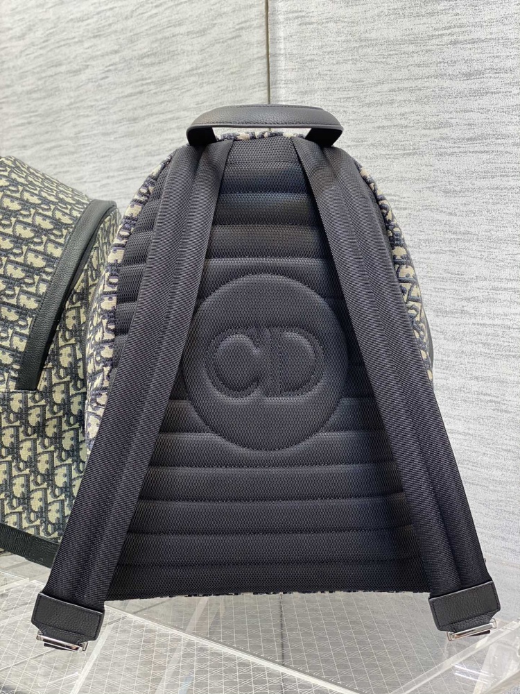 Dior manbag