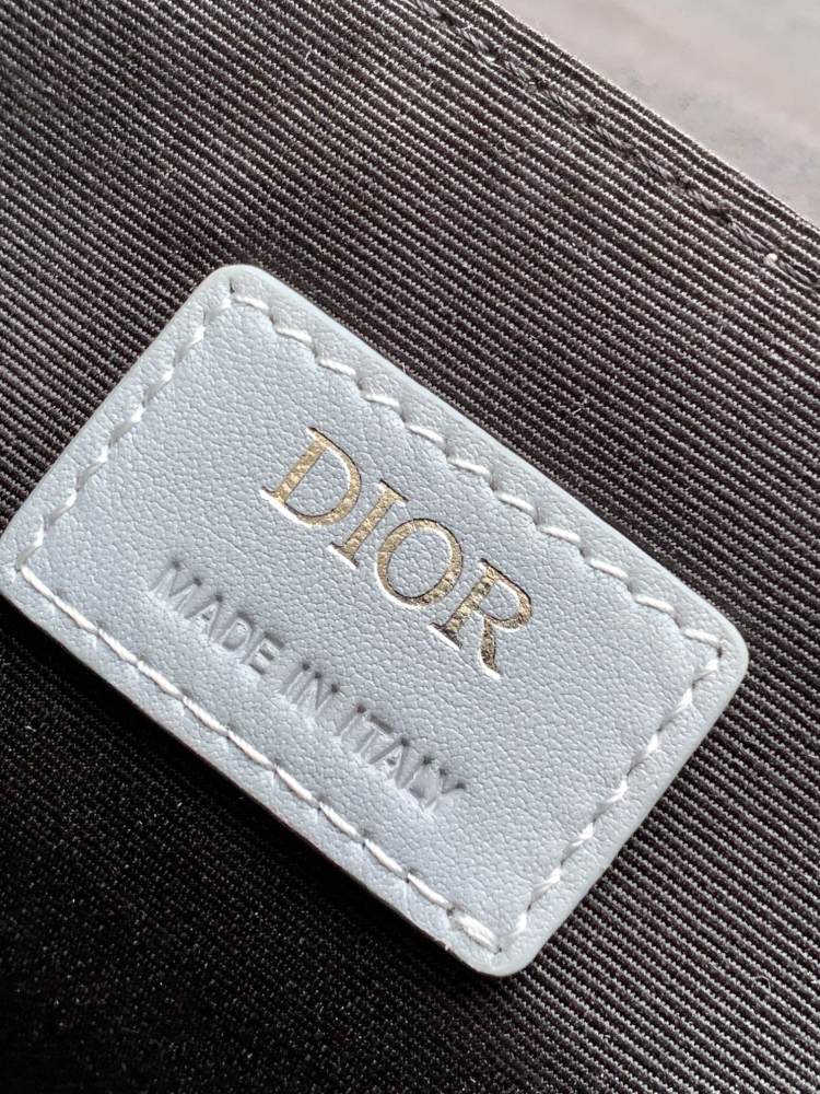 Dior manbag