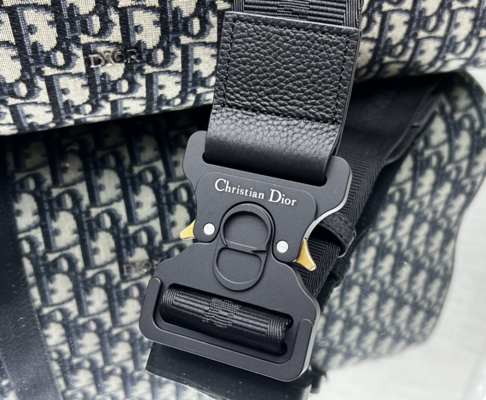 Dior manbag