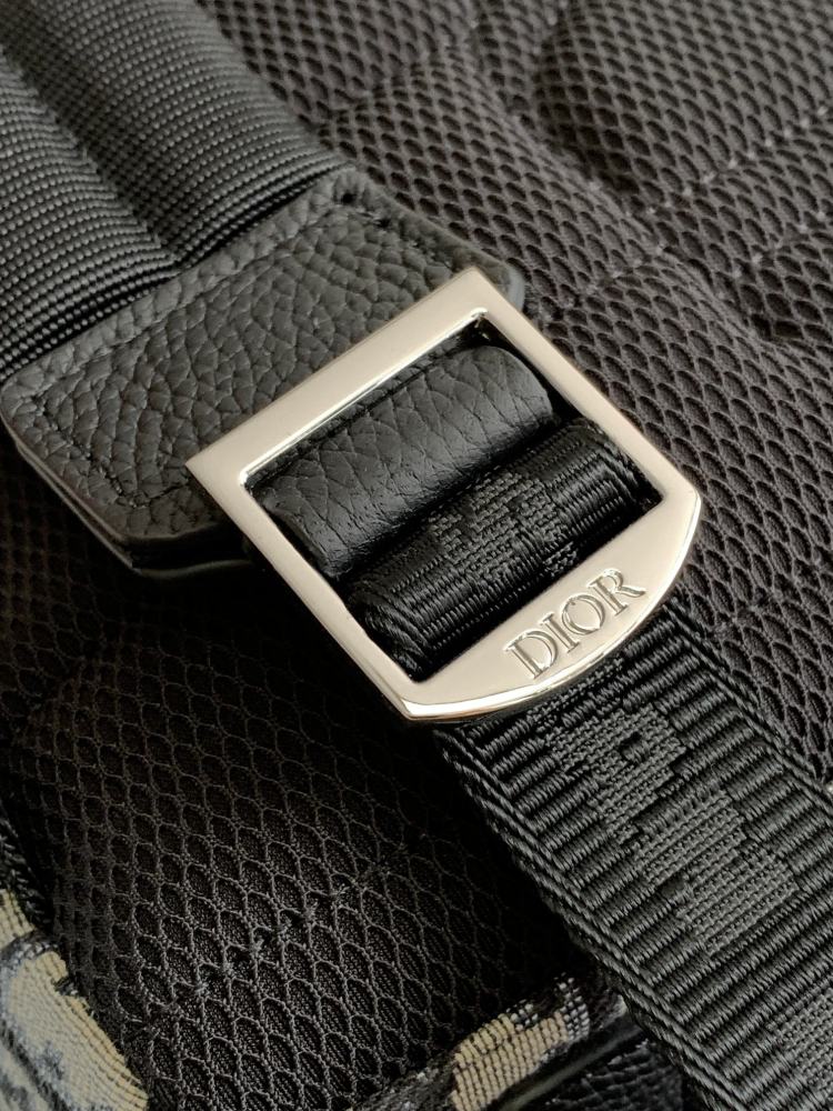 Dior manbag