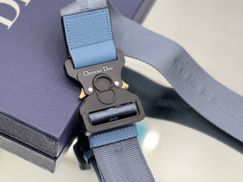 Dior manbag