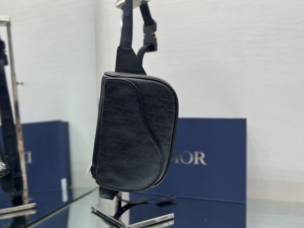 Dior manbag
