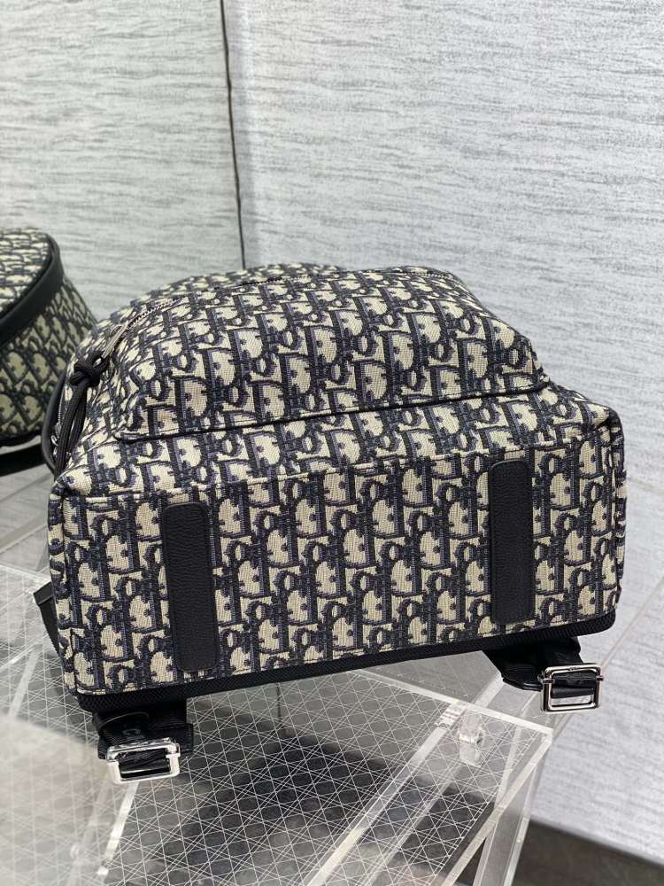 Dior manbag