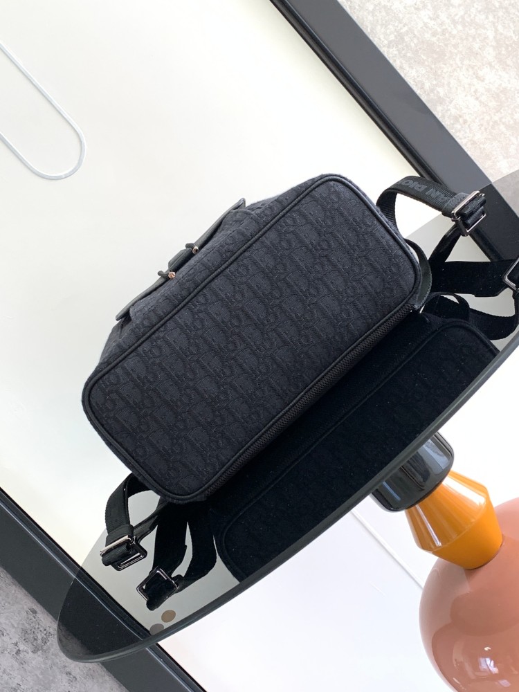 Dior manbag