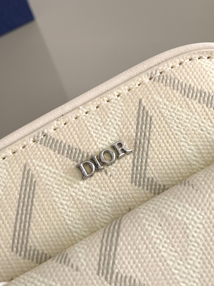 Dior manbag