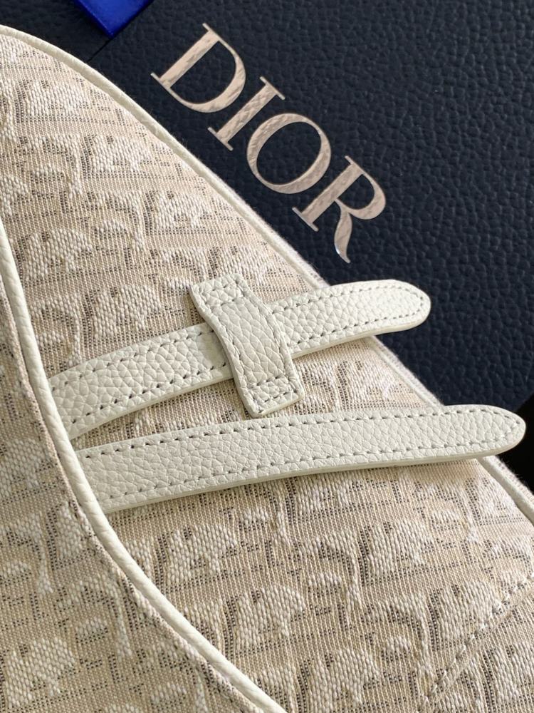 Dior manbag
