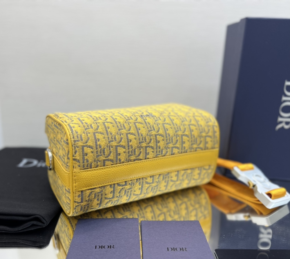 Dior manbag