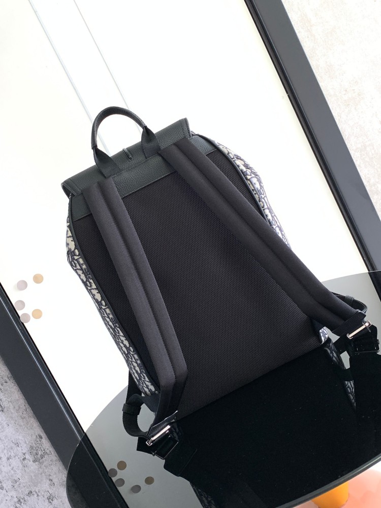 Dior manbag